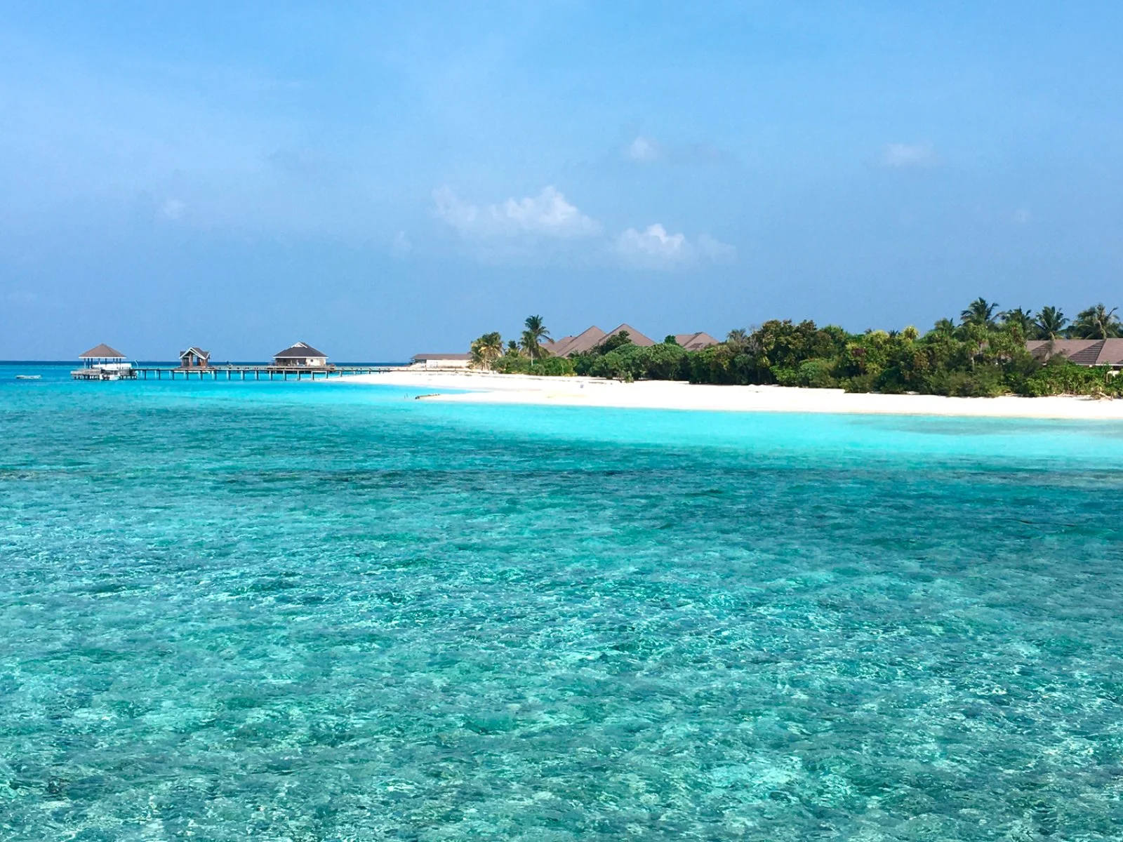 Maldive
