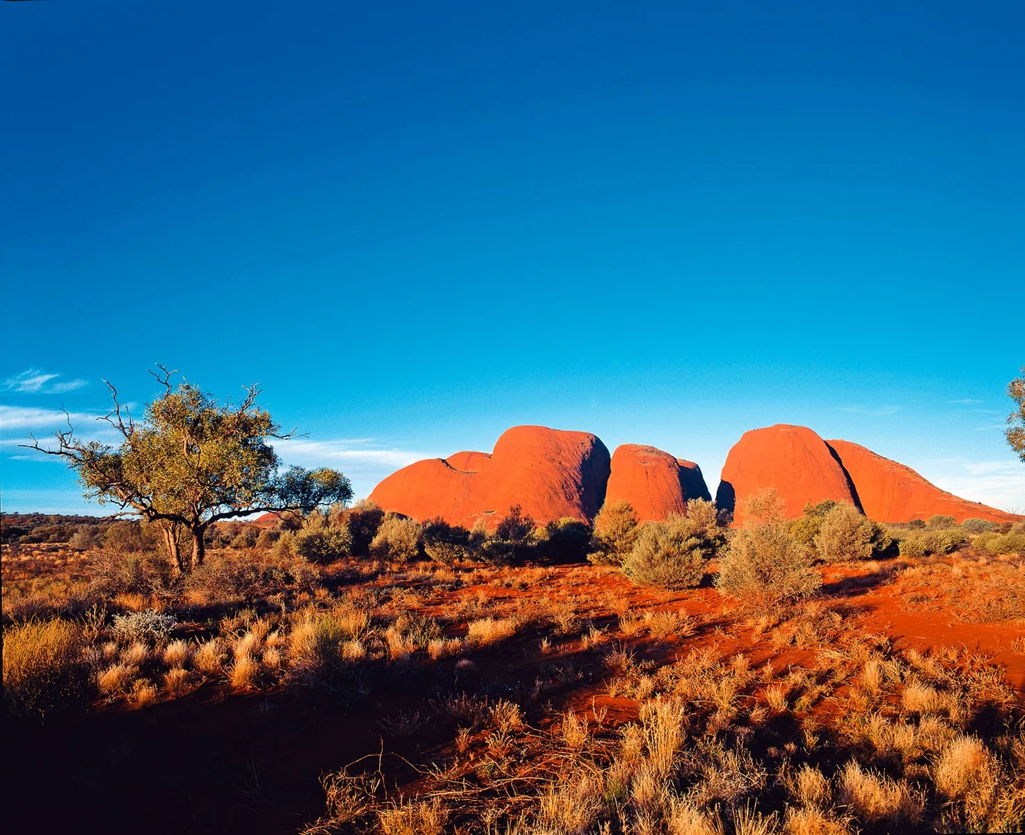 Ayers Rock