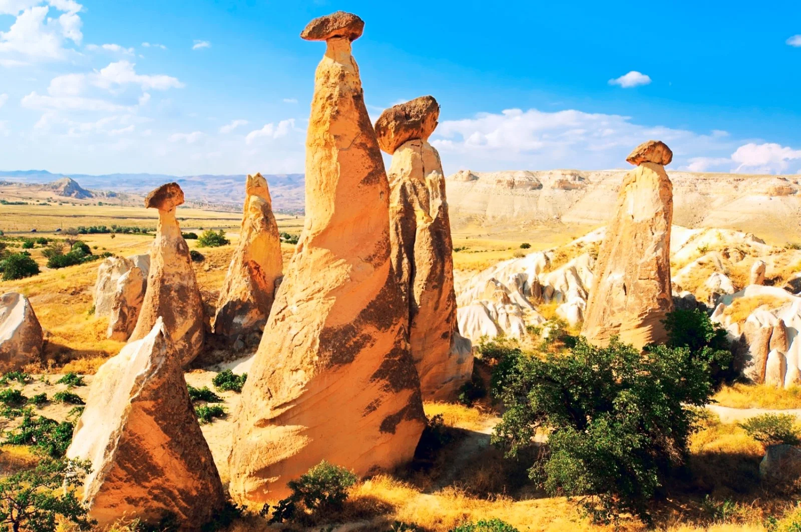 Voyager Turchia E Mauritius - Cappadocia