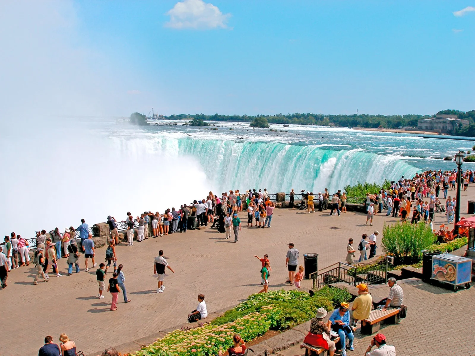Toronto - Cascate del Niagara - Toronto