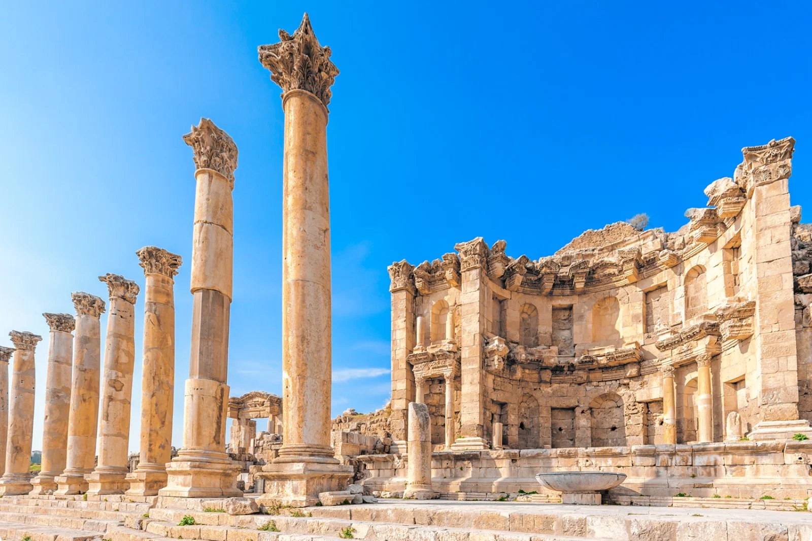 Amman - Jerash - Ajloun - Amman