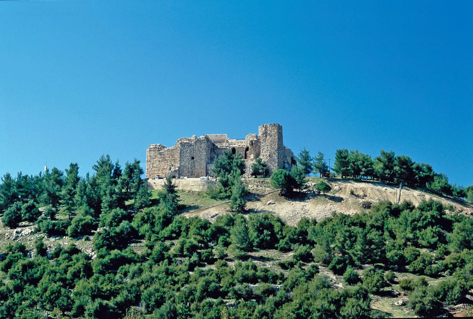 Amman - Jerash - Ajloun - Amman