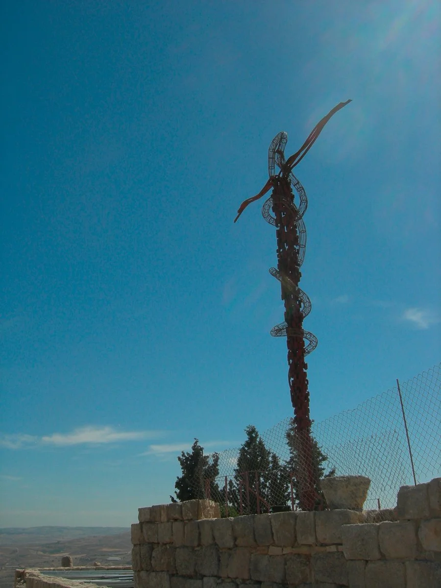 Amman - Betania - Madaba - Monte Nebo - Shobak - Petra