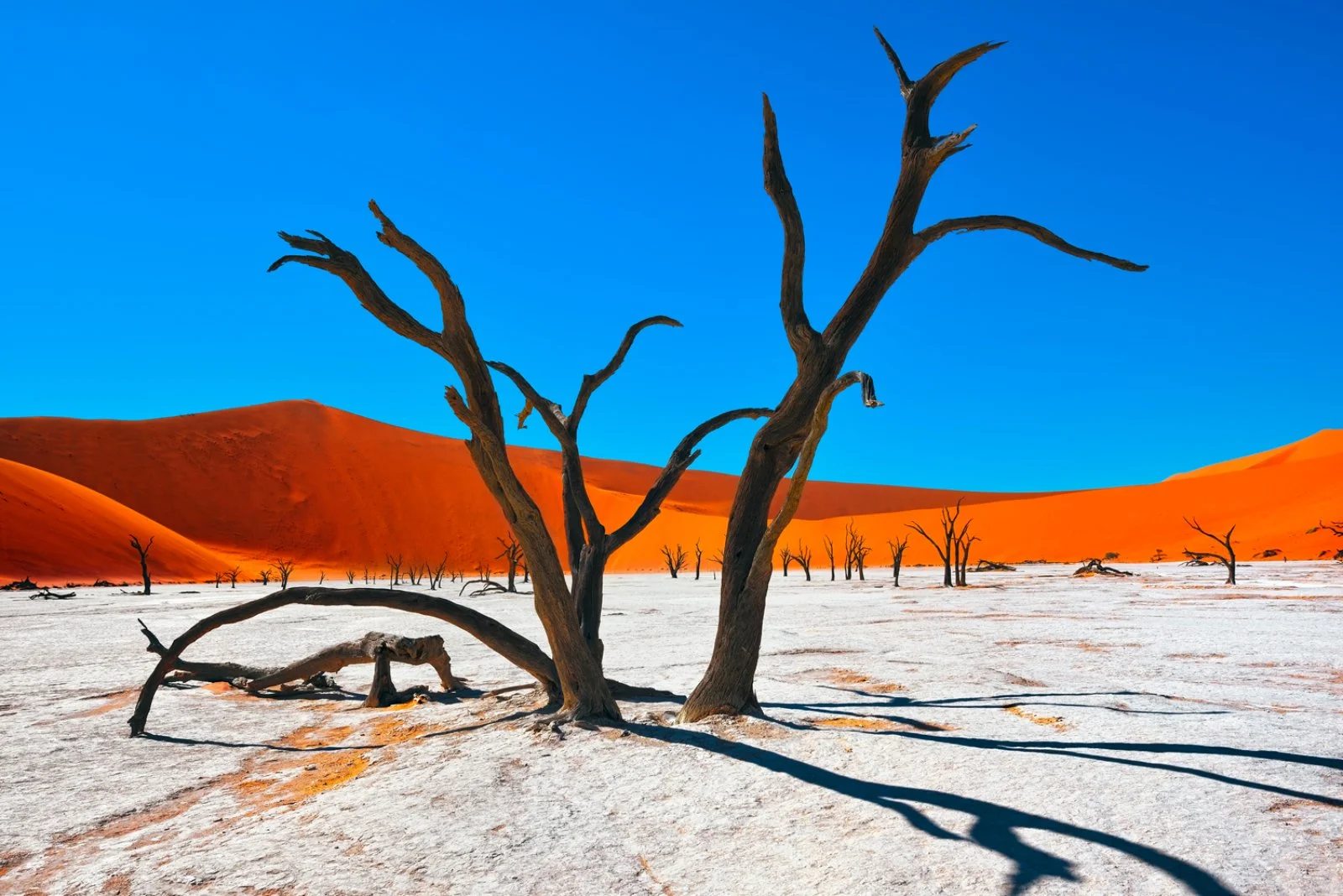 Voyager Namibia E Mauritius - Sossusvlei, Dead Vlei