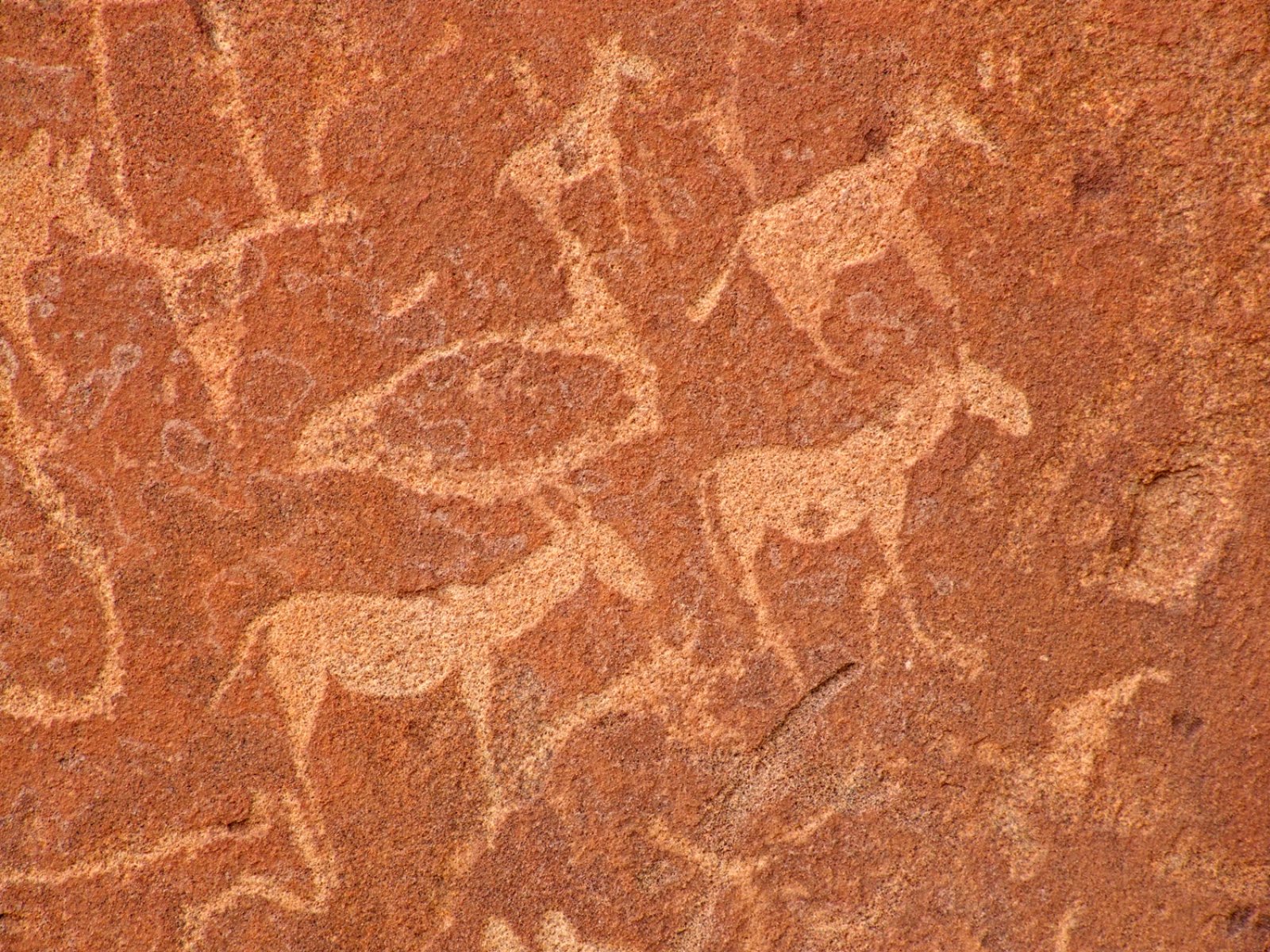 Voyager Namibia E Mauritius - Twyfelfontein