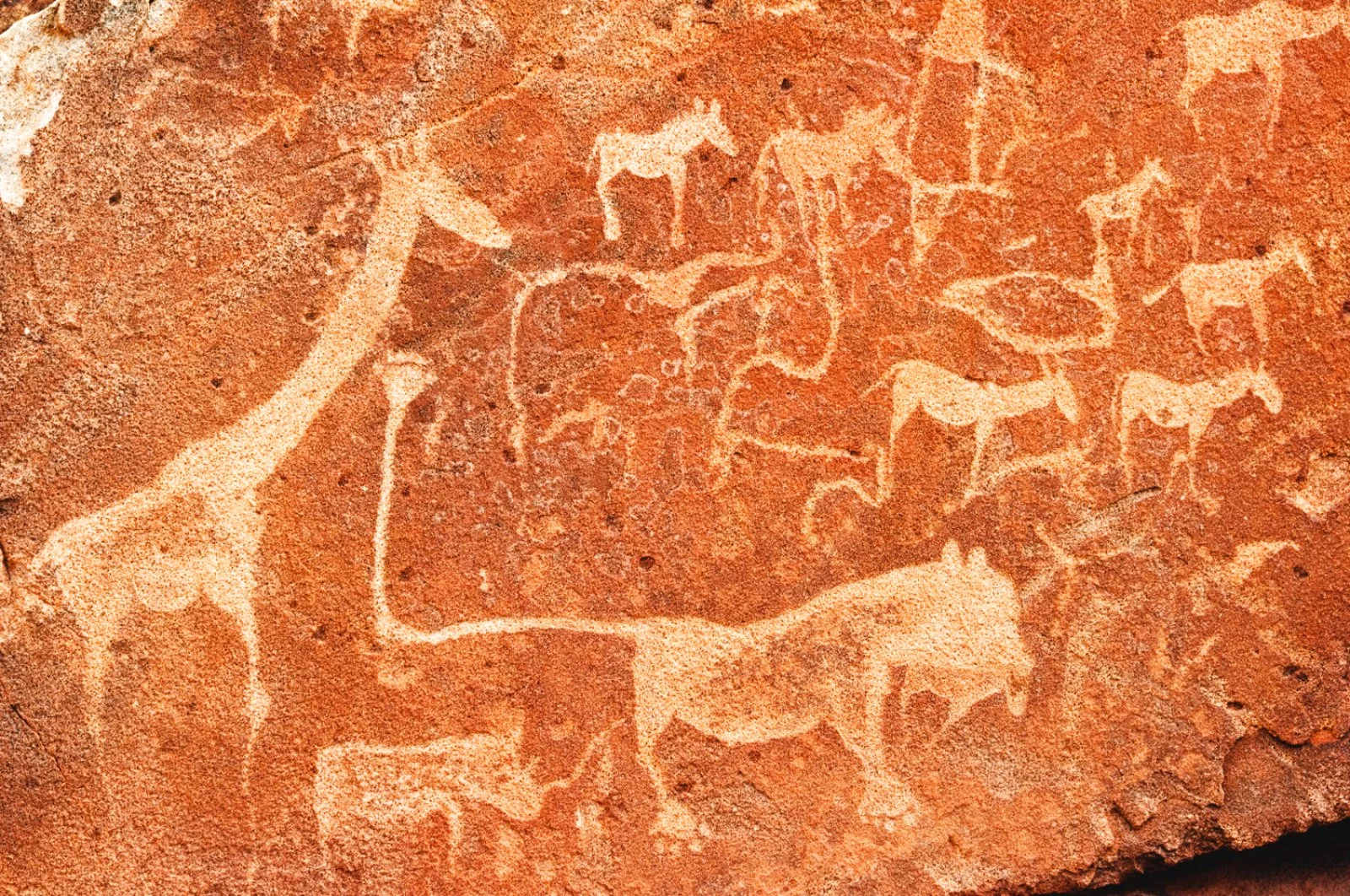 Swakopmund - Damaraland