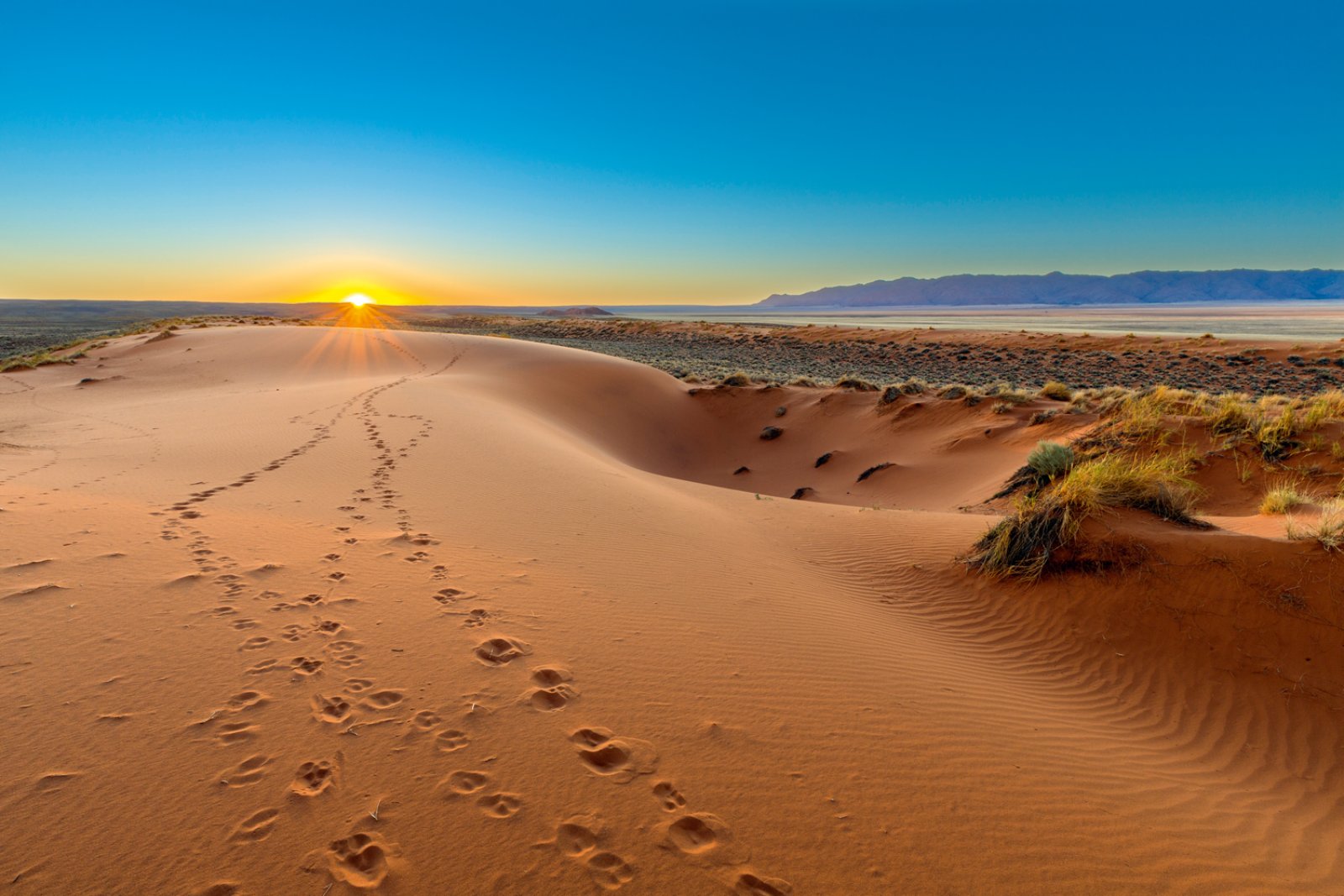 Voyager Namibia E Seychelles 