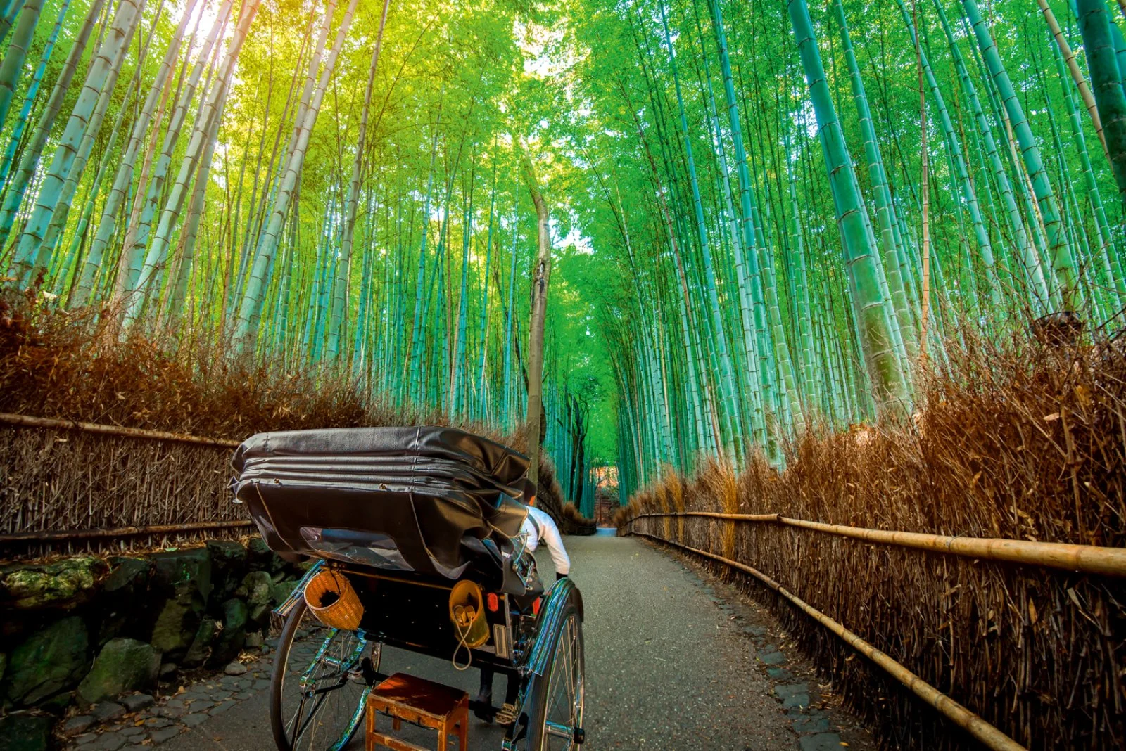 Kyoto - Nara - Kyoto