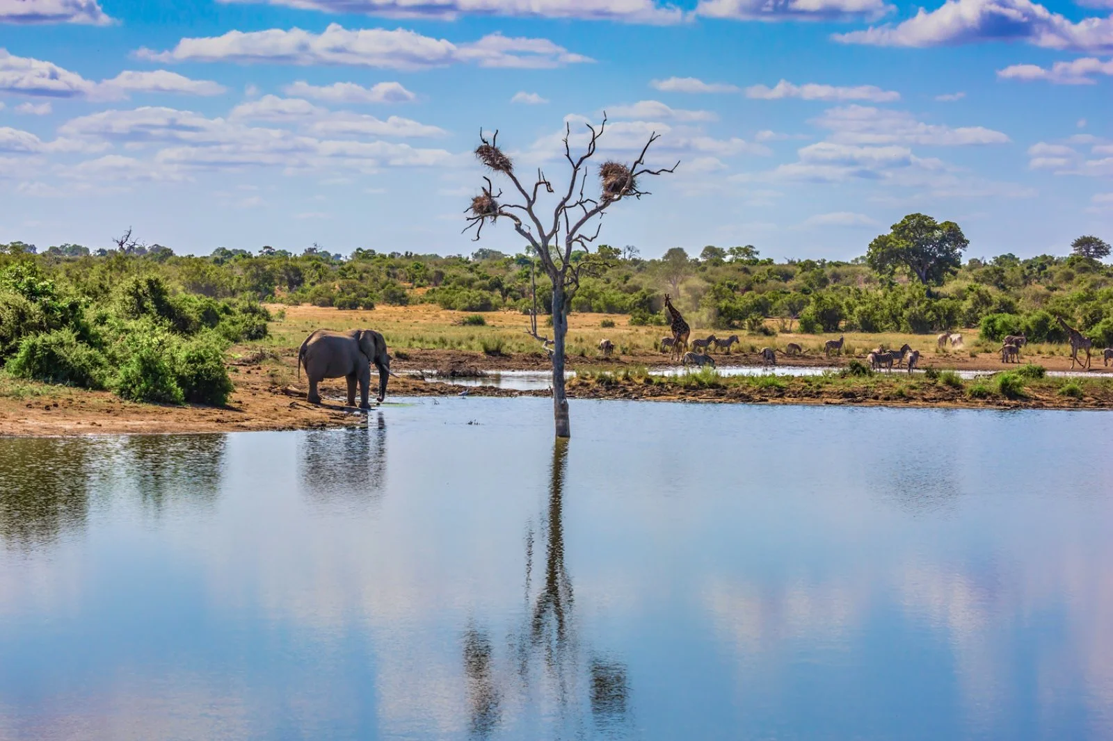Concessione Privata Parco Kruger