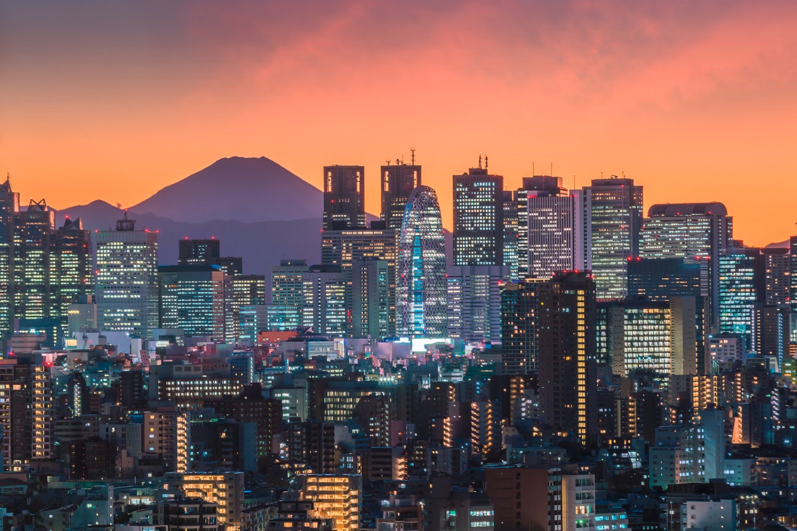 Golden Route - Tokyo, Tokyo Skyline E Monte Fuji