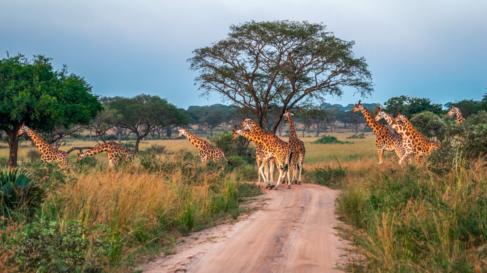 Da Hwange All'Okavango - Kidepo Valley National Park