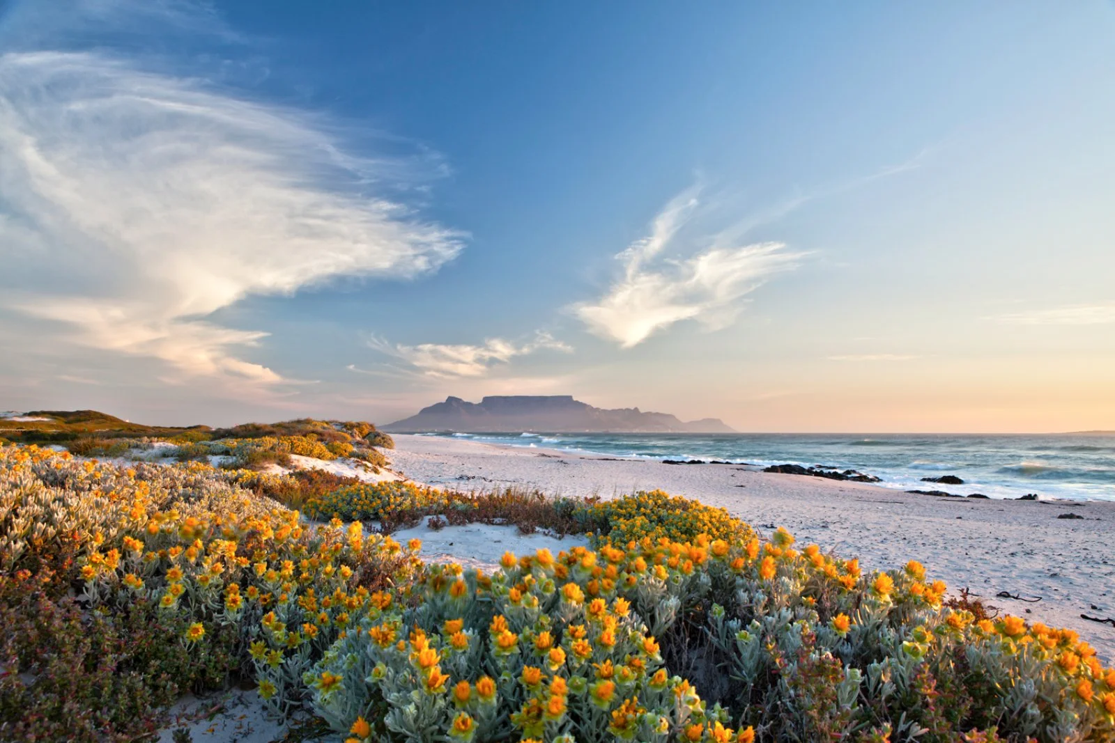Città del Capo - Penisola del Capo - Città del Capo