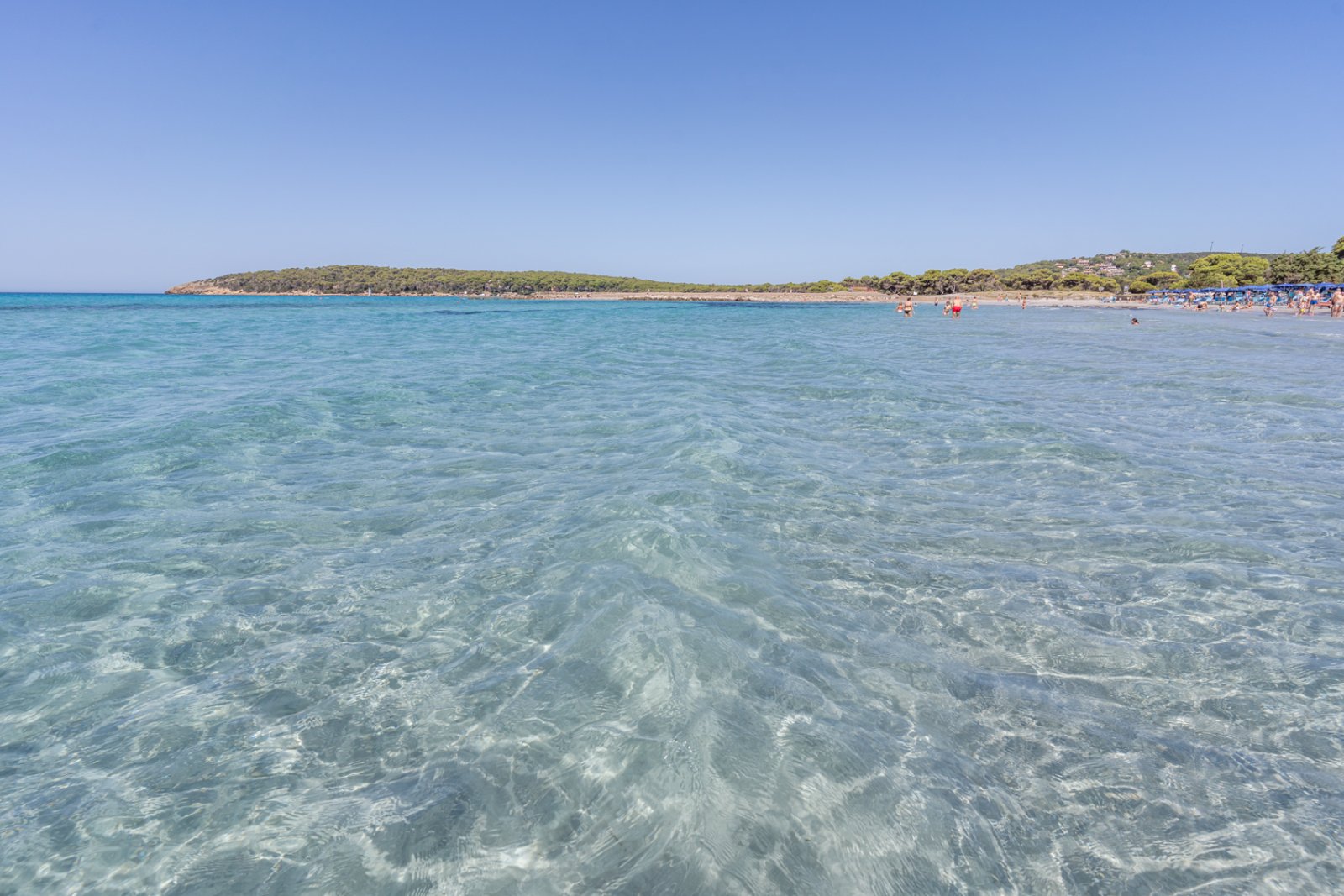 Bravo Porto Pino 