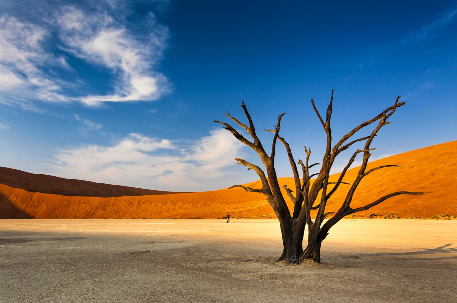 Il Meglio Della Namibia E Victoria Falls 