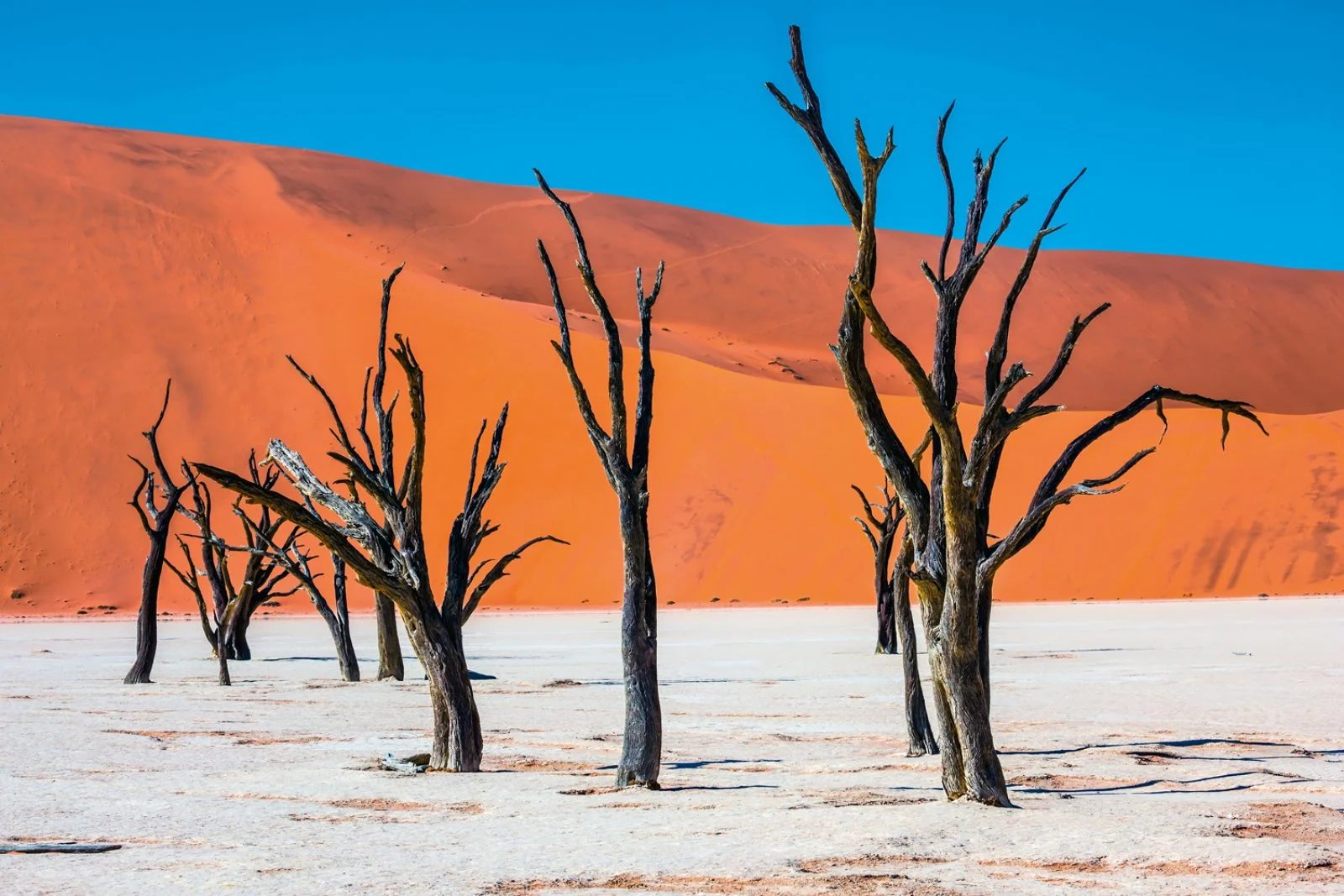 Deserto del Kalahari - Parco nazionale di Namib-Naukluft