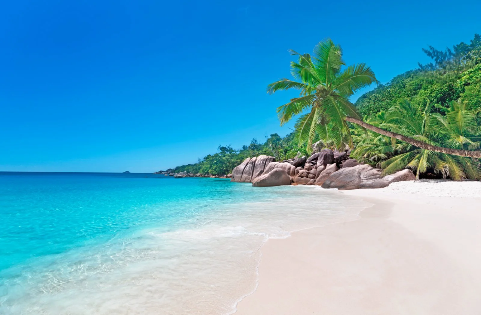 Paradiso Tropicale - Isola Di Praslin