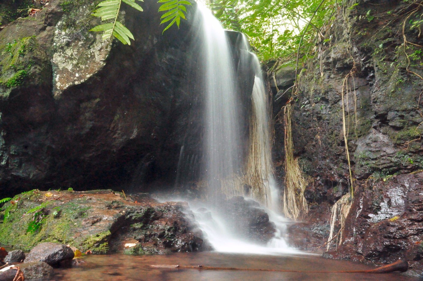 Tra Polinesiani E Cascate 