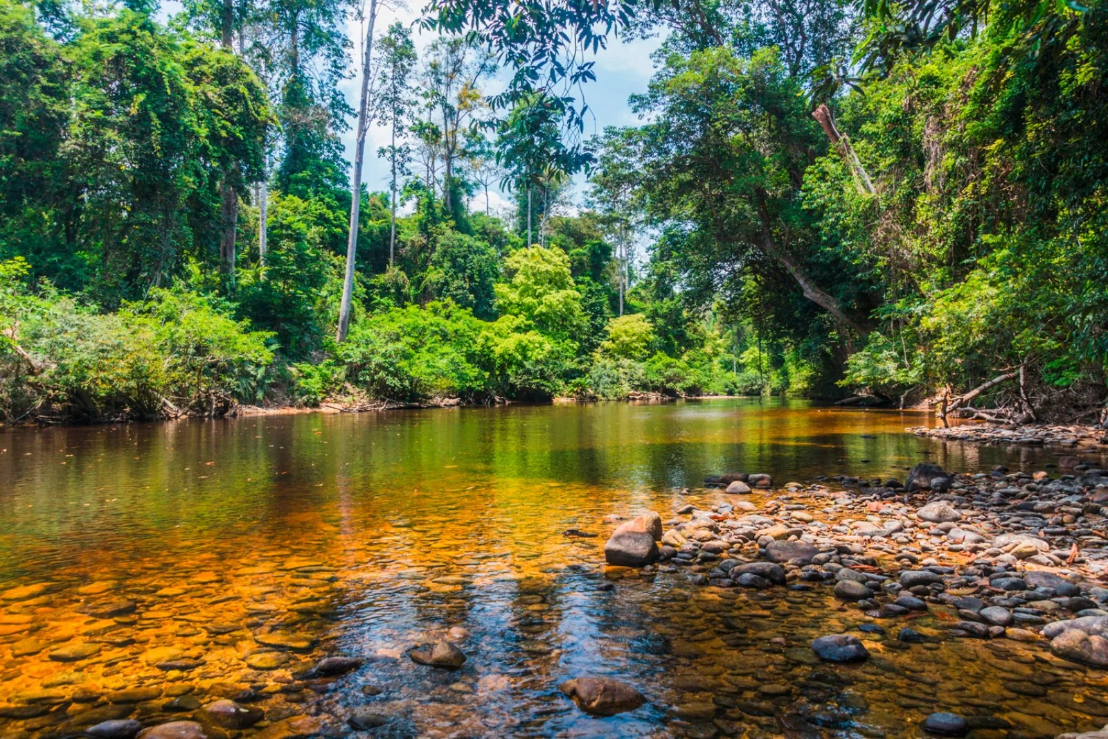 Kuala Lumpur - Taman Negara