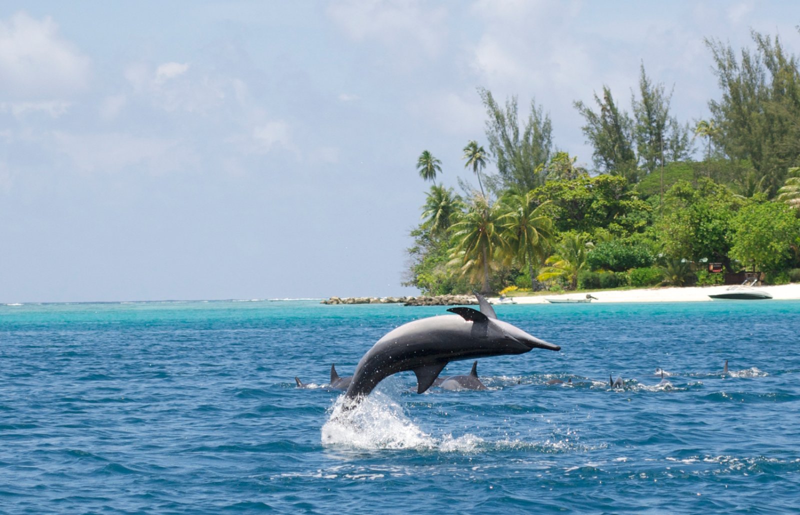 Huahine Adventure 