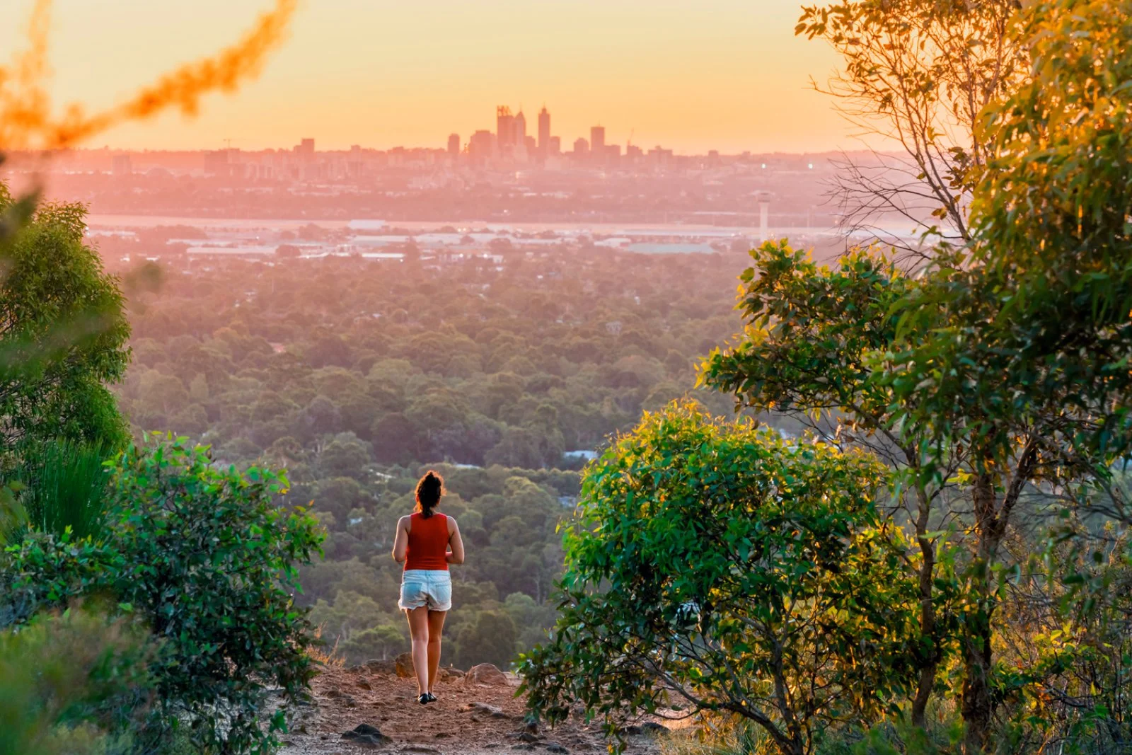 Fauna Australiana 