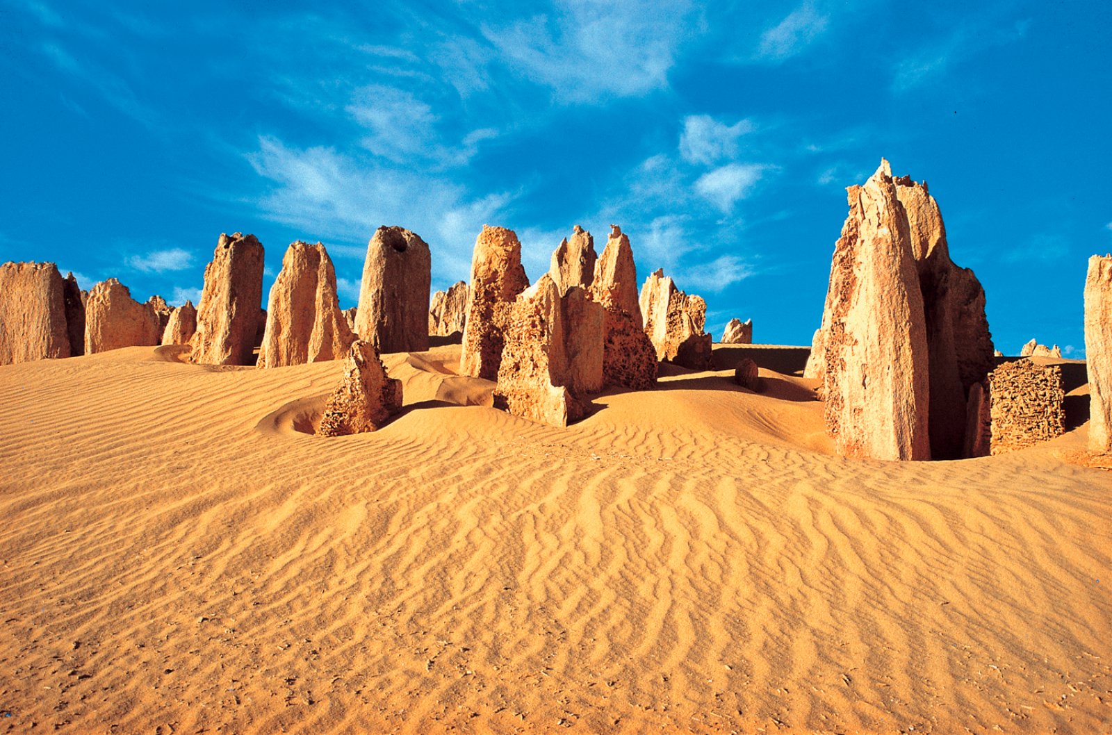 Fauna Australiana - Deserto Dei Pinnacoli