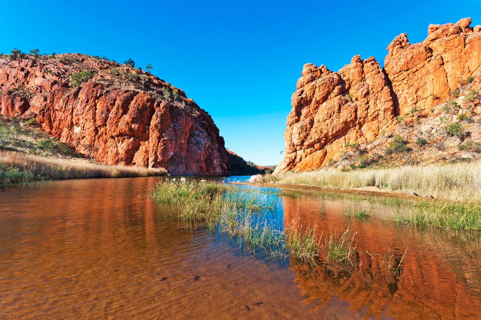 Viaggio Nell'Outback In Treno - Alice Springs