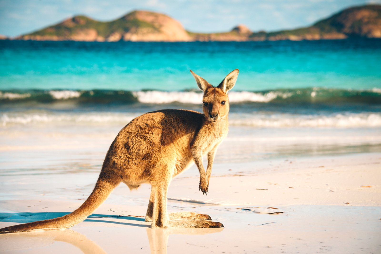 Viaggio Nell'Outback In Treno - Kangaroo Island