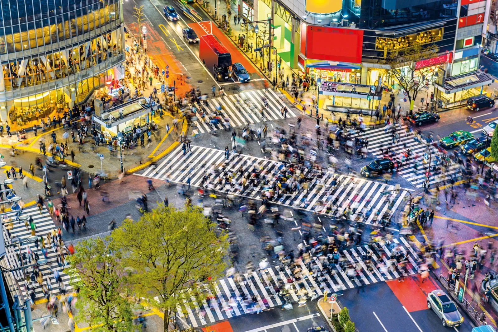 Nakasendo E La Valle Di Kiso - Shibuya, Tokyo