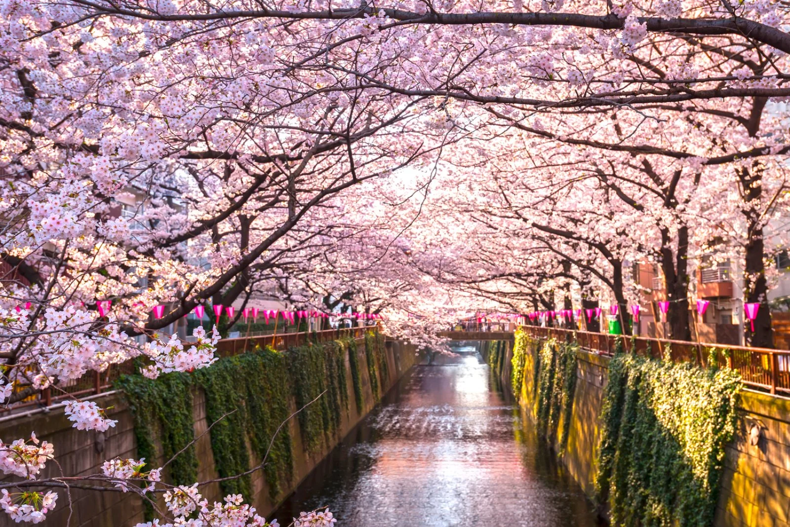 Nakasendo E La Valle Di Kiso - Tokyo, Giappone