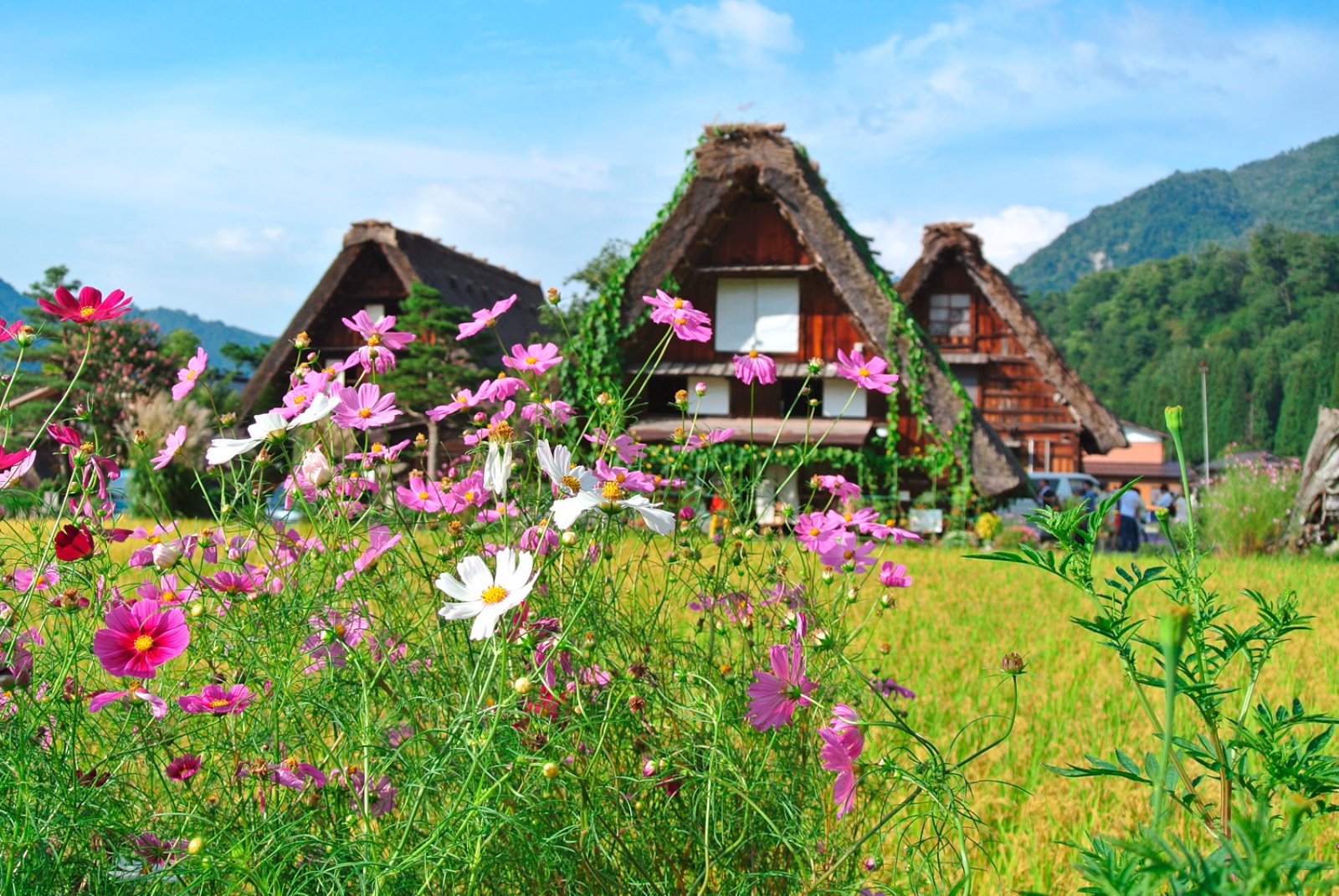 Giappone E Malaysia - Shirakawa-Go