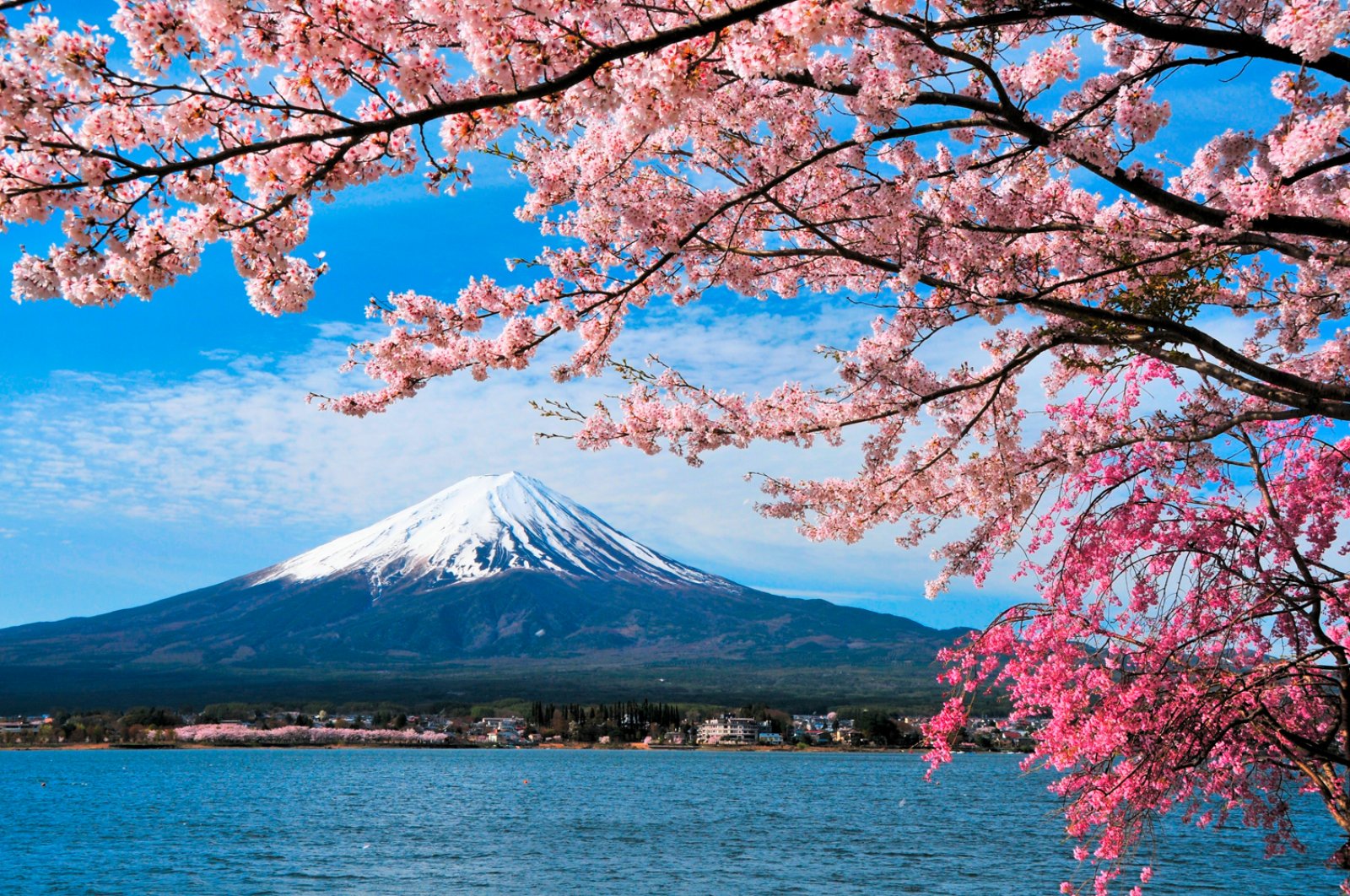 Giappone E Malaysia - Fuji Mountain At Kawaguchiko Lake, Japan