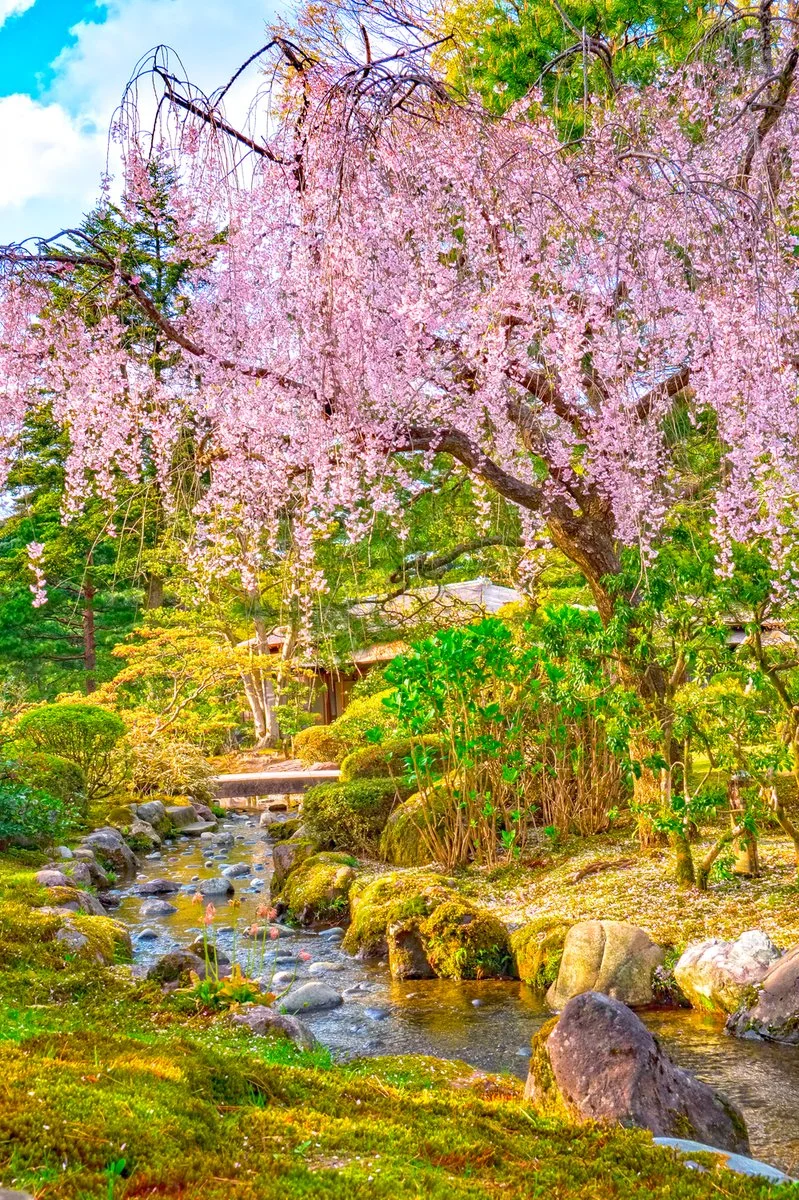 Kanazawa - Kyoto