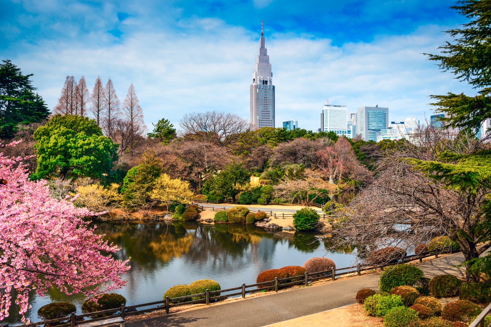 Memorie Del Giappone - Tokyo, Shinjuku Gyoen Park