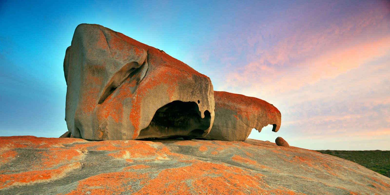 Australia Tra Koala E Spiagge Spettacolari - Kangaroo Island