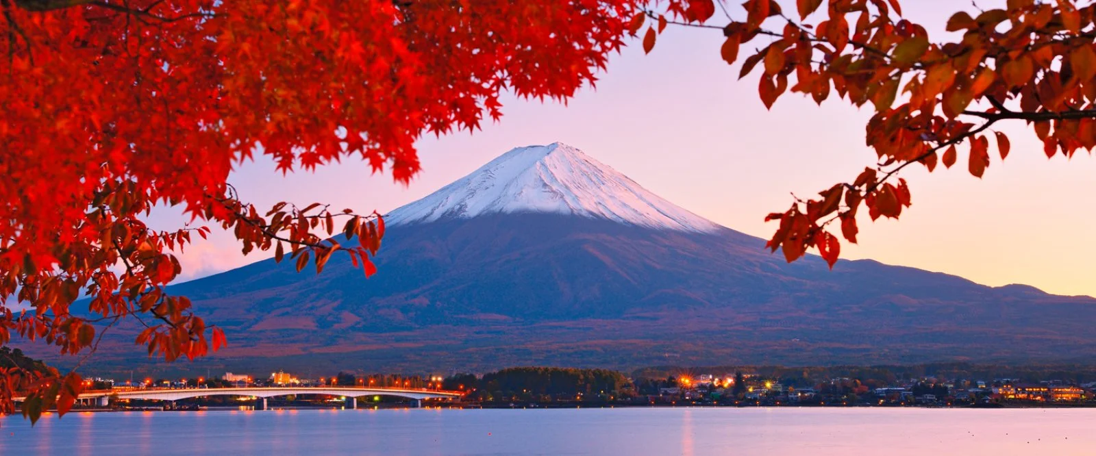 Monte Fuji e Lago Ashi