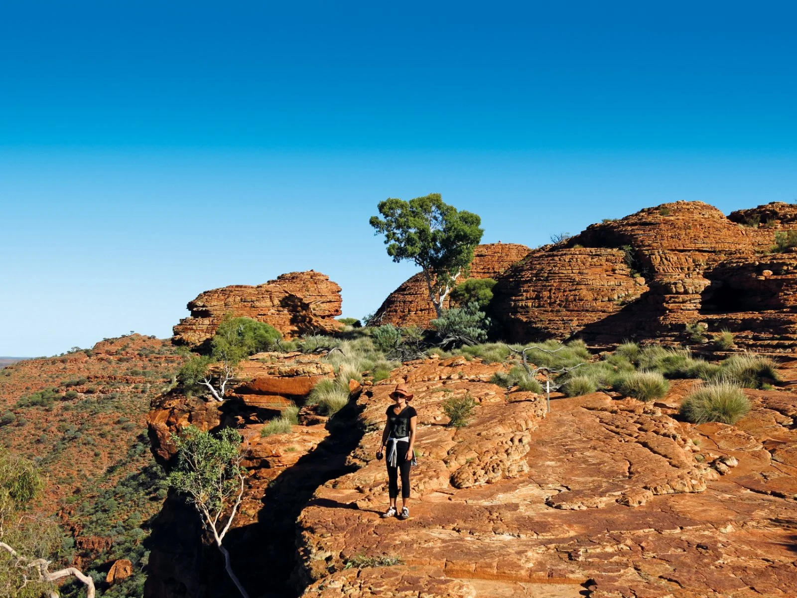 Alice Springs - Kings Canyon