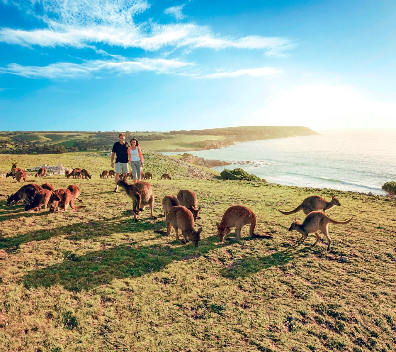 Adelaide - Kangaroo Island