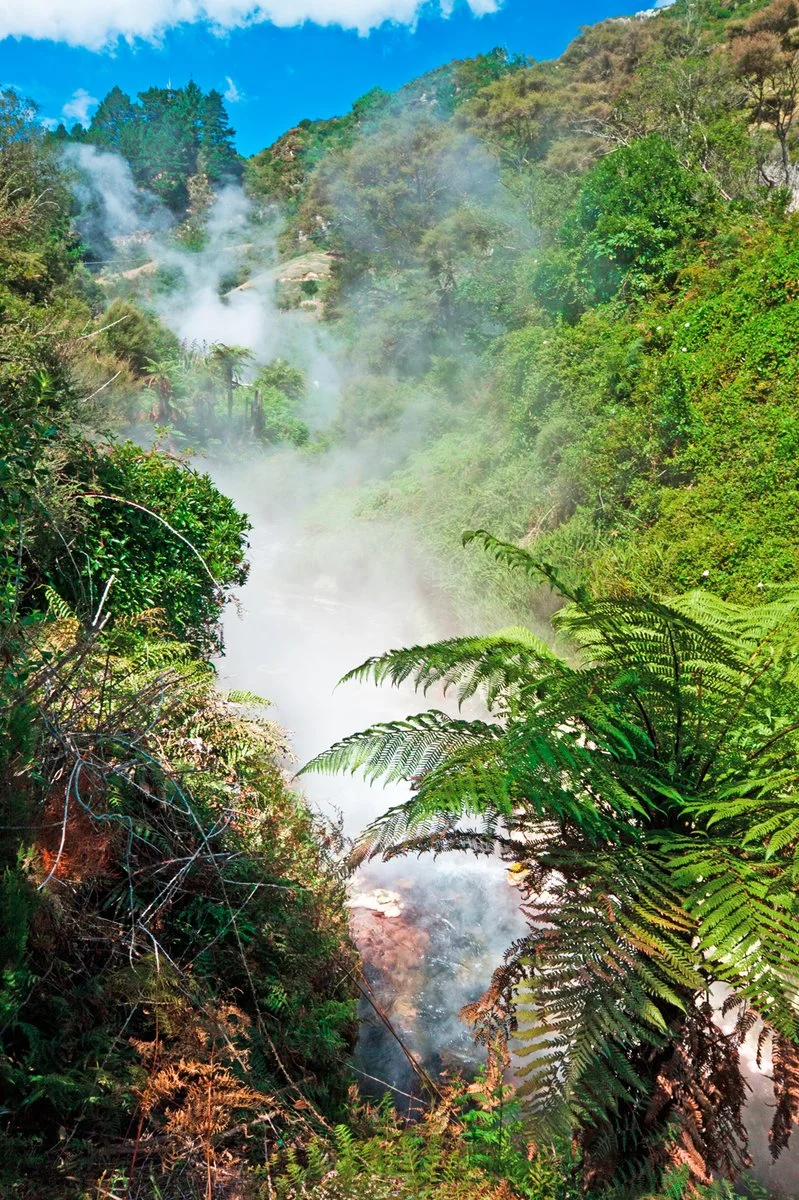 Nuova Zelanda Completa - Rotorua