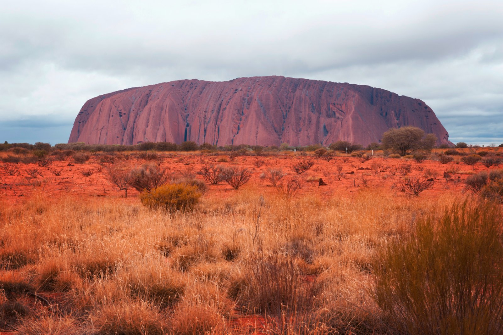 Da Sydney Aningaloo Reef - Uluru Kata Tjuta National Park