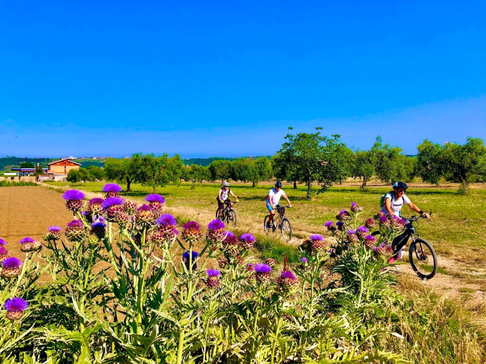 Majella Mare, Gravel Tour 