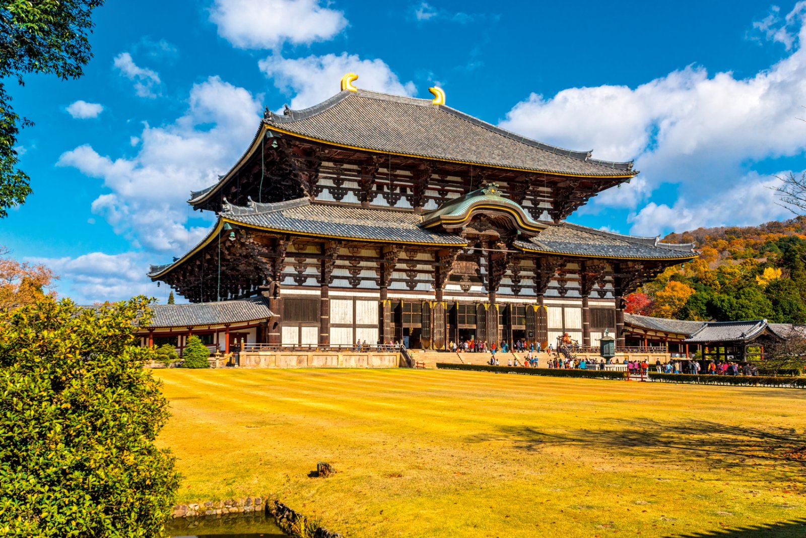 Easy Japan Experience - Nara, Tempio Di Todai-Ji