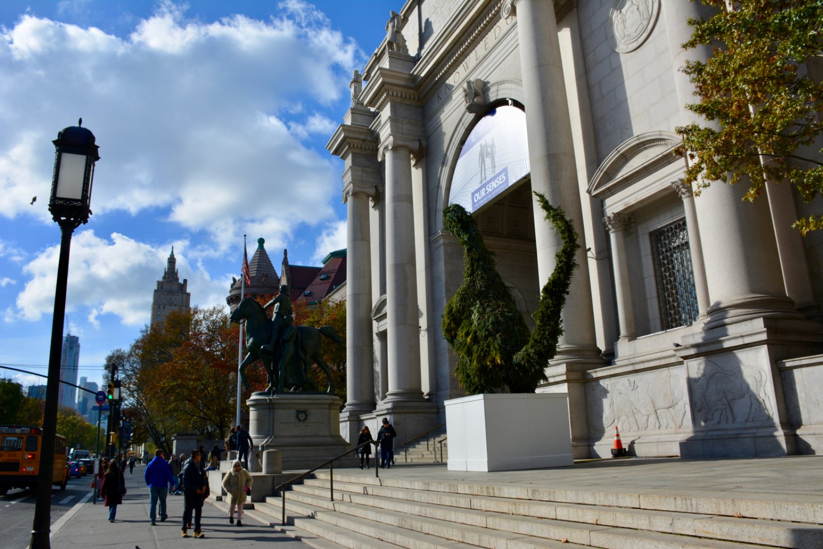 I Love Nyc - 7 Notti - Museo Di Storia Naturale