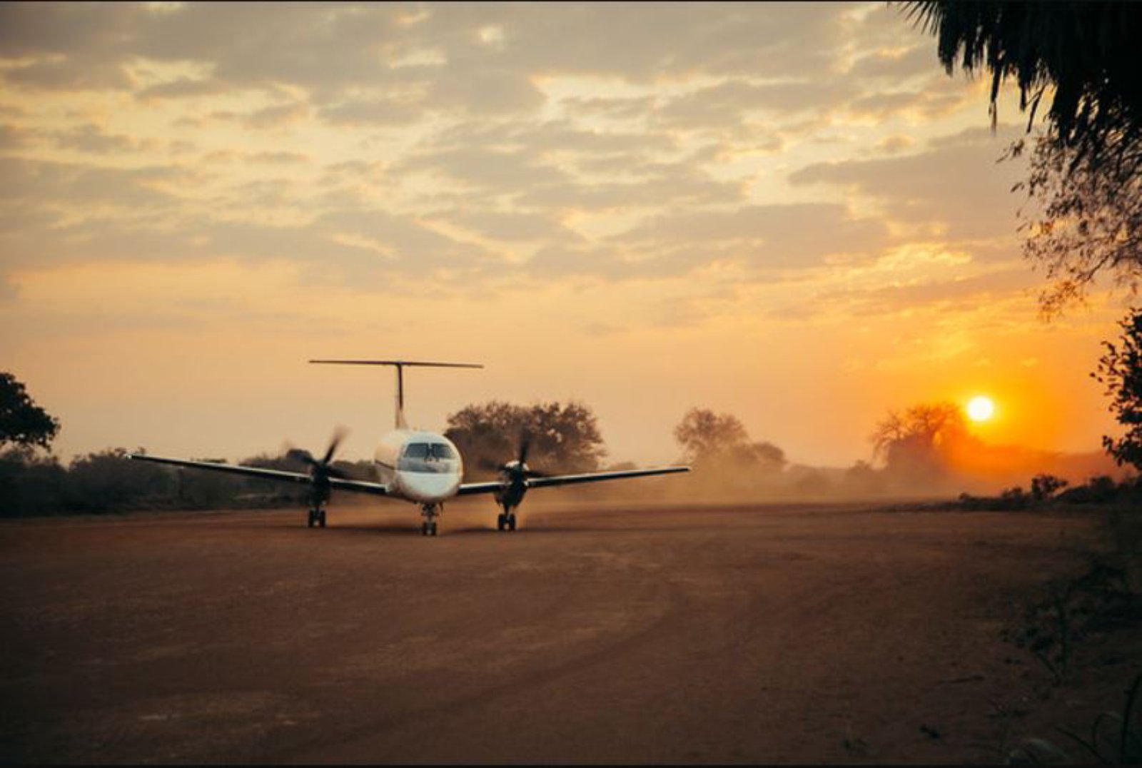 Safari Selous Experience 