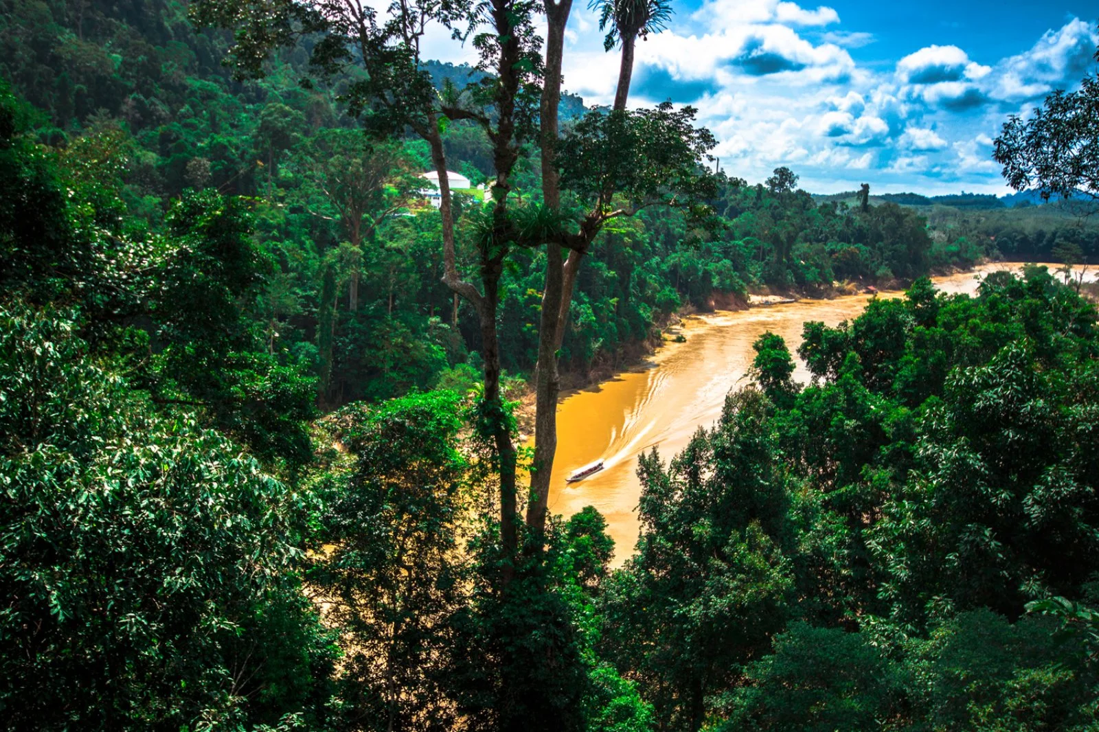 Kuala Lumpur - Taman Negara