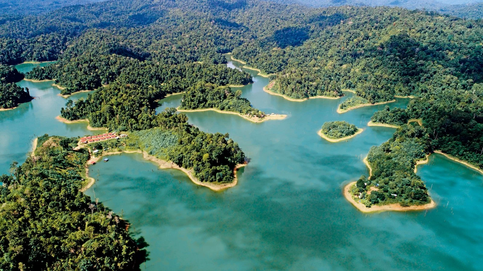 Taman Negara - Cameron Highlands