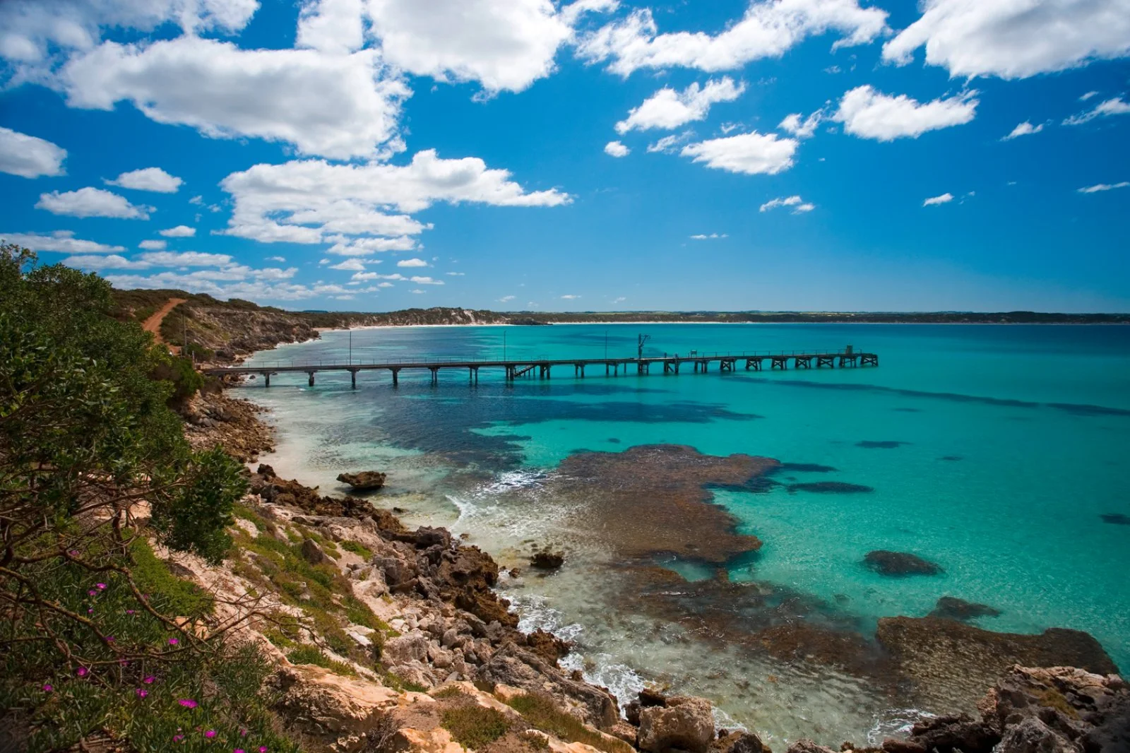 Voyager Koala - Kangaroo Island