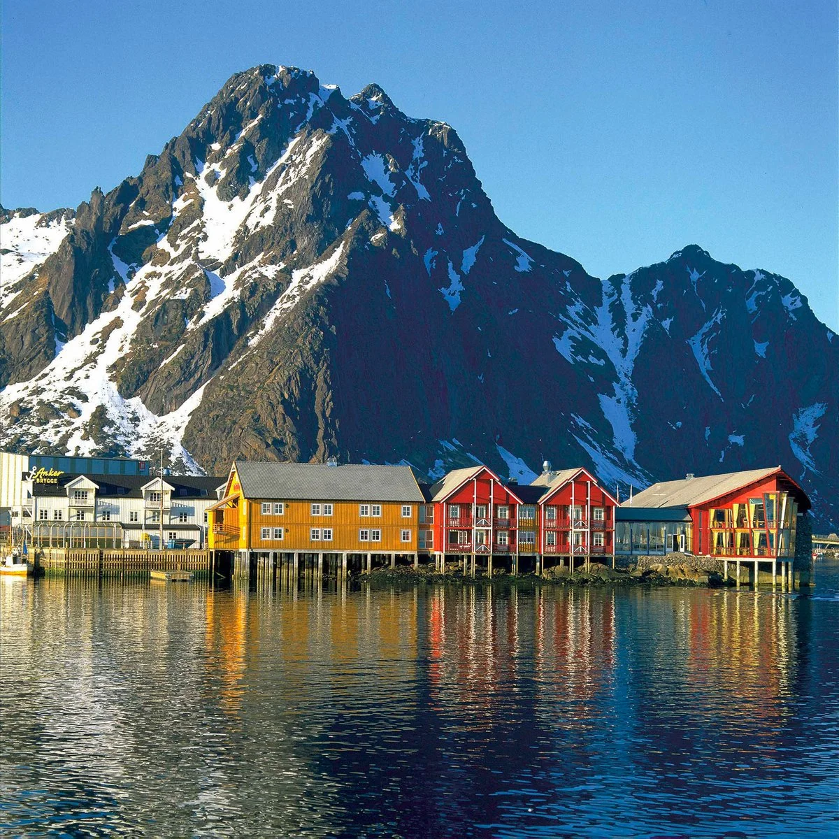 Norvegia Del Nord In Libertà - Lofoten - Norvegia