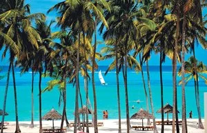 SEACLUB STYLE TUI BLUE BAHARI – Kiwengwa