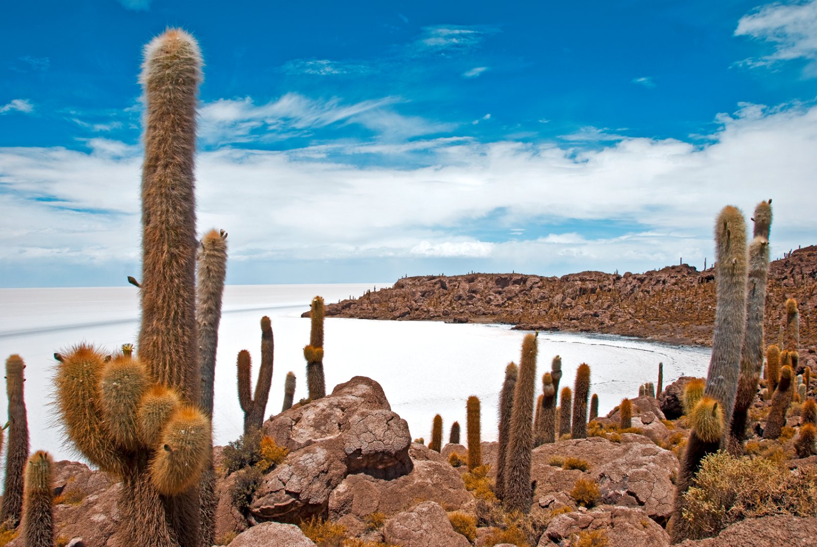 La Paz, Uyuni E Lagune - Bolivia, Salar Di Uyuni