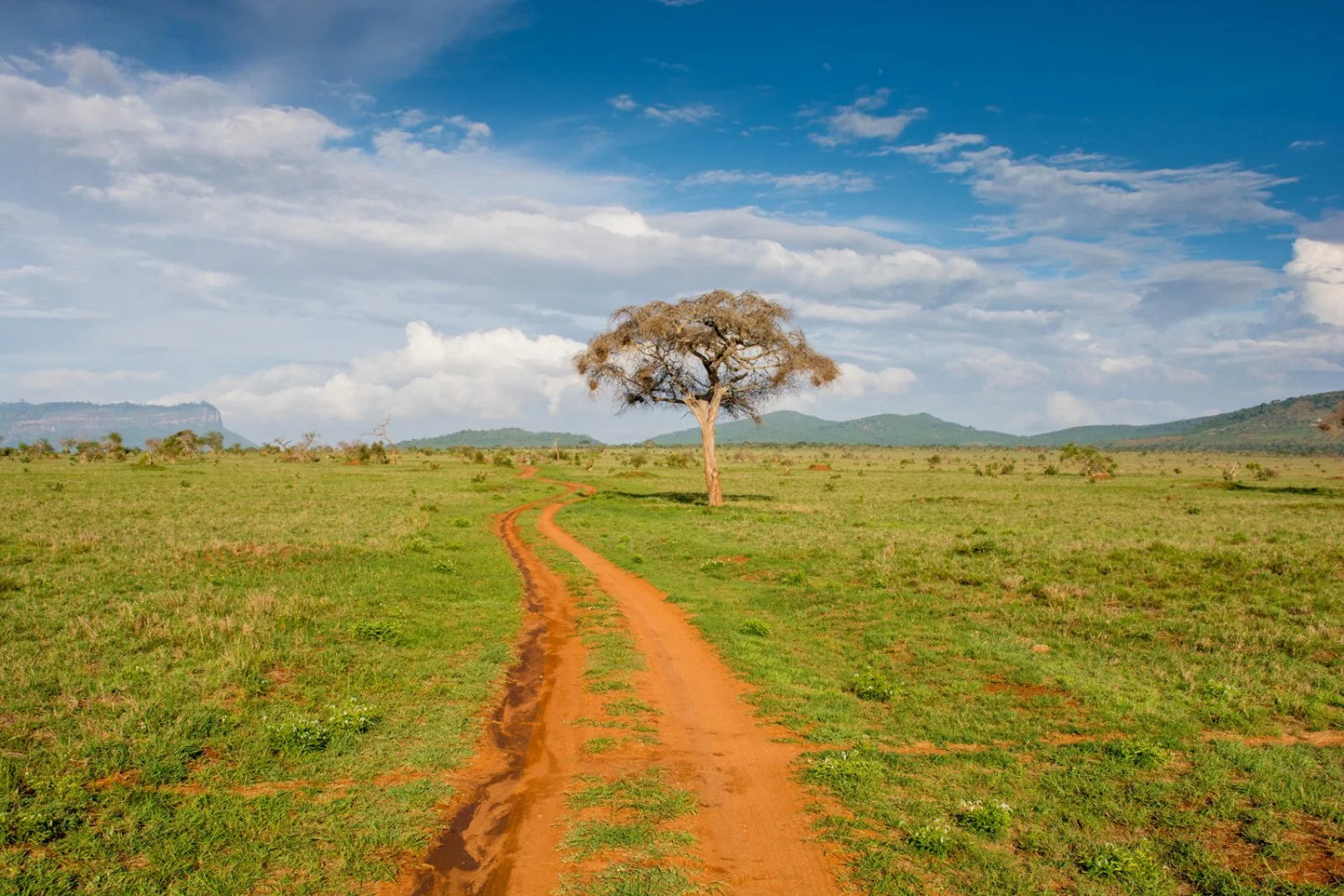 Tsavo Est/Costa di Diani (245 km), Costa di Watamu o Malindi (260 km)